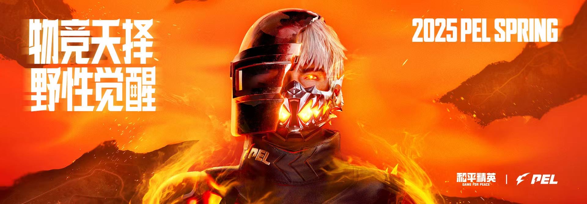 和平精英辅助工具安全指南：保护账号远离封禁